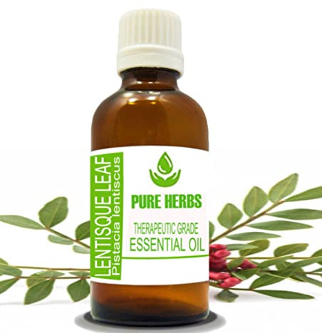 Pure Herbs LENTISQUE - Huiles essentielles pures et naturelles de qualité thérapeutique (10 ml)