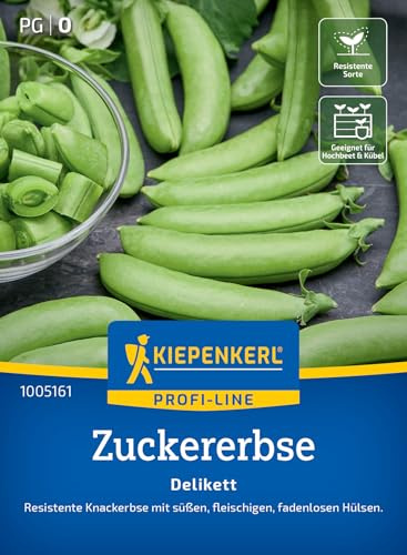 Kiepenkerl Zuckererbsensamen Delikett 1005161, Gemüsesaat | Gemüsesamen für eine resistente Erbse mit fadenlosen Hülsen, Inhalt für 6-8 laufende Meter, Wuchshöhe 80-100 cm