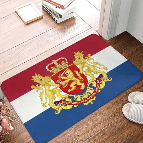 EAEQKOUC 3D Coat of Arms of Netherlands Front Door Floor Entrance Mat Indoor Dutch Proud Bathroom Kitchen Doormat Garage Carpet Rug-60x90cm