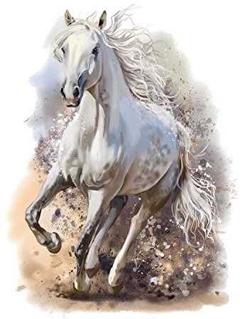 179 Wandtattoo Pferd weiß - Mädchen Kinderzimmer Sticker Aufkleber weiß Pferde reiten Pony Wandbild Wanddeko Wandsticker Größe 250 x 330 mm