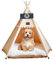 Vinnypet Tipi Zelt fur Katzen und Hunde Haustierzelte Häuser mit Plüschkissen Luxery Hundezelt Katzenzelt Abnehmbar und Waschbar Katzenhaus Haustierhäuser 40x40x50cm