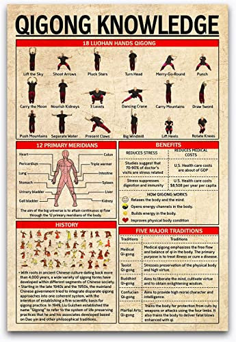 Qigong Knowledge Metallschilder, Vintage-Wanddekoration, Sammlung, Plakette, Wissenschaft, Infografik, Blechposter, Zimmer, Schlafzimmer, Zuhause, Badezimmer, Klassenzimmer, Diner, Club, Schule, 20,