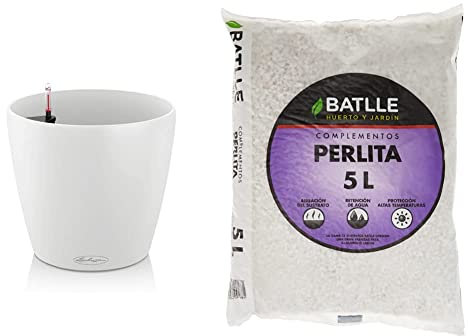 Lechuza Maceta, Classico Color, 21x20cm (9x8) + Semillas Batlle - Sustrato Perlita 5 L, Color Blanco y Turquesa