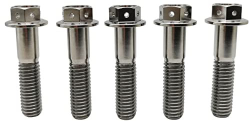 RISON-Titanium Bulloni in Titanio con Flangia M10x1.25x70mm, Vite Titanio Testa Esagonale Flangia Forato, Viti Esagonali Flangiate in Titanio GR5 Vite di Fissaggio, Confezione da 5