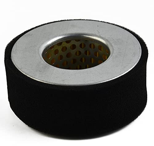 Elemento filtro aria per 2KW 3KW cinese 178F 170 170F motore diesel filtro aria pulito elemento parti