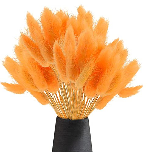 60Pcs Getrocknetes Pampasgras,Trockenblumen Bodenvase,Natürlich Pampasgras Blumenstrauß,Trockenblumen Blumenstrauß Deko, Künstlich Groß Trockenblumen,Trockenblumen Pampasgras