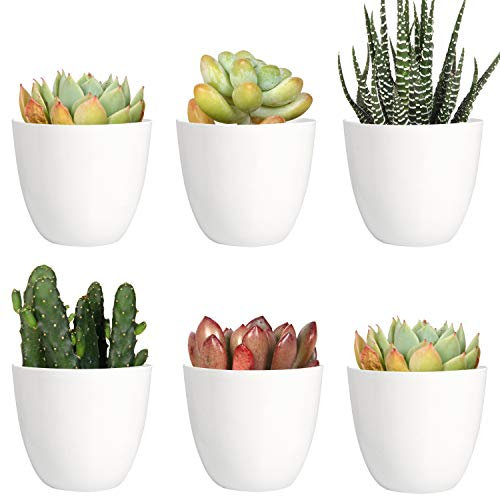 Youngever Lot de 10 Mini Pots de Fleurs d'intérieur en Plastique Blanc de 8 cm avec Drainage pour Toutes Les Plantes d'intérieur, Fleurs, Herbes, Plantes Grasses, Plantes Non incluses (Moderne)