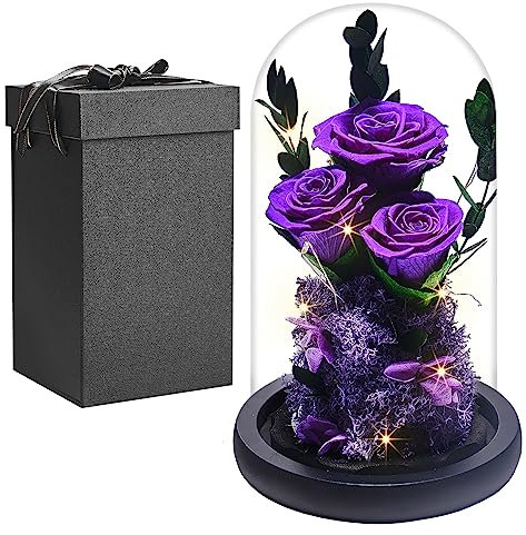 Rewjury Vrai Rose Eternelle sous Cloche, Femmes Cadeau Anniversaire, Belle Et la Bete Préservée Rose Fleur, Rose sous DôMe, Saint Valentin Fête des Mères Cadeau pour Mère Mamie Petite Amie Femme