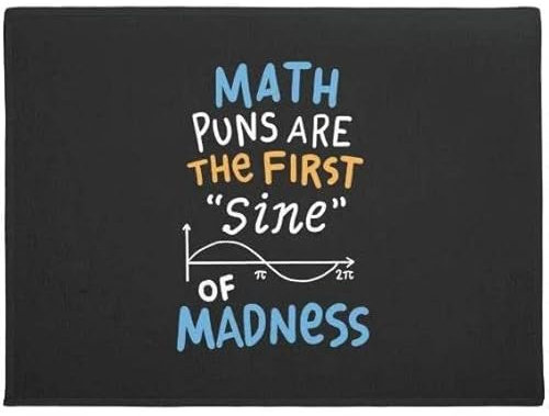 MIAOMANSENSTORE Fußmatte innen außen fussmatte Math Puns Are The First Sine of Madness Fußmatte, dekorative Willkommens-Fußmatte für Mathe-Liebhaber Deko Wohnzimmer