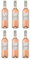 Plaimont Fleur de d'Artagnan Rosé trocken Roséwein Wein Frankreich inkl. FeinWert E-Book (6 x 0.75 l)