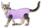 cobee Professioneller Genesungsanzug für Katzen bei Bauchwunden oder Hautkrankheiten, Kätzchen, Chirurgie, Genesungsanzug, E-Halsband-Alternative für Katzen und Hunde, nach Operationen (Größe M,Lila)
