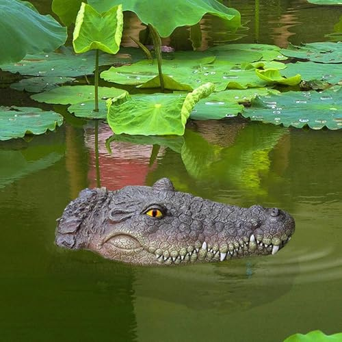 Yarteim Schwimmende Teichdeko Mini Teichfiguren Krokodil,Krokodilskopf Deko für Miniteich Gartenteich Dekofigur,Harz Tierfiguren Schwimmende Tiere für Teiche Deko Terrassenteich Zinkwannen Balkon