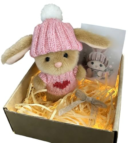 RUITOTP Mini Bunny Hug Cute Easter Gift, 2026 Neu Positive Easter Bunny Plush Toy, Osterhasen Deko with Knitted Hat Inspirational Card Eas-ter Plush Bunny Pocket Hug Rabbit Emotional Support