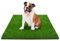 KARAT Premium Kunstrasen für Hunde - Höhe: 40 mm - Trainingsunterlage Hundetoilette Welpentoilette - wiederverwendbarer Gras Ersatz für Balkon, Terrasse, Garten (100 x 150 cm)