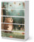 Sunnywall® Möbelfolie passend für IKEA Malm Kommode Schrankfolie Aufkleber mit Kleiner Bär im Wald Motiv | blasenfrei verkleben | Kinderzimmer 6er 80 cm