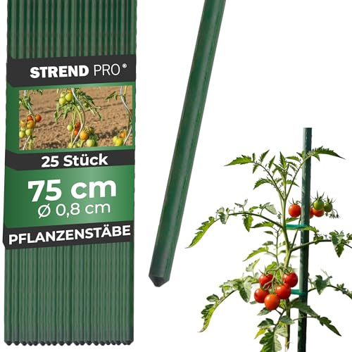STREND PRO Pflanzstäbe 75 cm - 25 STK. Set | Ø 8 mm Stahl + Kunststoff | Rankstab Grün für Blumen, Kräuter, Pflanzen, Setzlinge | Kleine Pflanzenstütze | Metalle Rankhilfe | Stützstäbe | Pflanzstütze