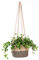 ruizhixuan Cesta Colgante de Cuerda de yute Tejida para Plantas, Soporte para Plantas de hasta 7 Pulgadas, Maceta, macramé, Moderno, Organizador de Almacenamiento para decoración del hogar (yute)