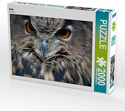 CALVENDO Puzzle Eule 2000 Teile Lege-Größe 90 x 67 cm Foto-Puzzle Bild von BO Valentino