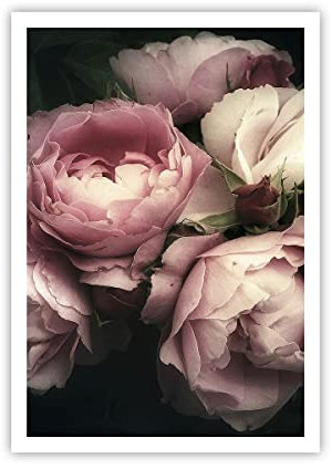 ARTTOR Poster Wandbild Kunstdruck 70x100cm Botanik Blumen - 3930 - P2X