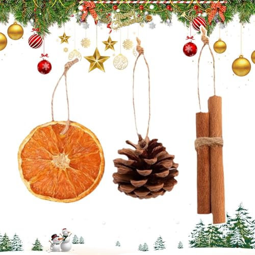 BOWTONG Lot de 36 décorations de Noël naturelles en forme de tranches d'orange, cannelle, pommes de pin avec cintres en jute Ha, décorations de Noël décoratives