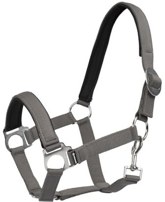 Halfter Sofia Neoprene, verstellbares Pferdehalfter mit weicher Neoprenpolsterung, Karabiner und robustem Material