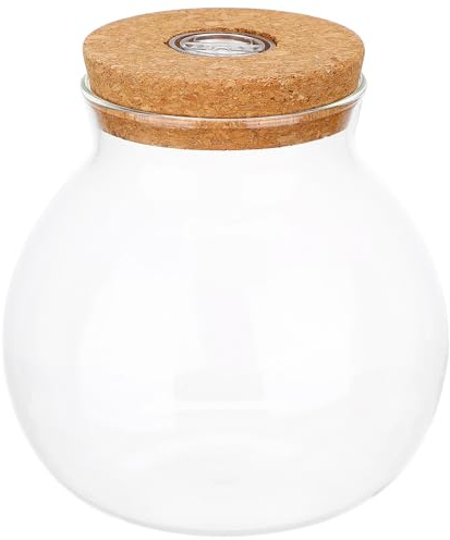 LED Ökologische Flasche aus Borosilikatglas für Mikrolandschaft
