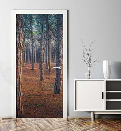 MyMaxxi - Tür bekleben mit Türtapete Türposter Türfolie Selbstklebend 90x200 Kiefernholzwald - Tür verschönern Türaufkleber Türklebefolie Wald Tannen Nadelwald grün
