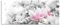 Pixxprint Glasbild Panorama, Wandbild aus Echtglas, Nahaufnahme blühender Magnolienbaum B&W Detail, 100x40 cm, inkl. Aufhängung und Abstandshalter