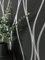 Newroom Tapete Schwarz Vliestapete Streifen - Streifentapete Modern Silber Grau Linien Wellen Streifenmuster Grafisch gestreifte Tapete Glanztapete inkl. Tapezier-Ratgeber