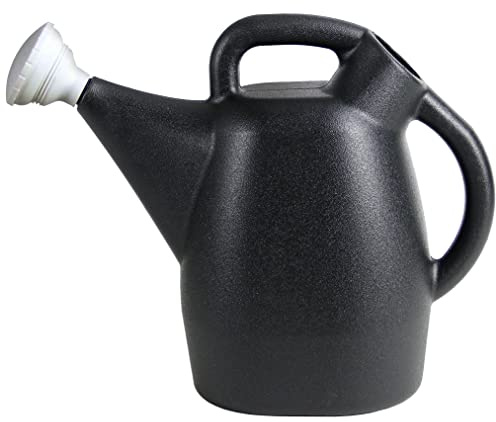 Chapin 47998: 2 Gallon Watering Can for Indoor & Outdoor Plants, 100% Recycled Plastic with Removable Nozzle, Drip-Free Sprinkler Head, Made in USA