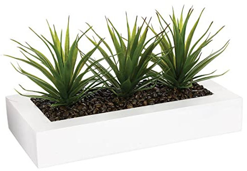Atmosphera Centro de Mesa - 3 Aloe Vera - Altura 17 cm, Blanco, L. 31 x l. 16 x H. 17 cm
