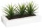 Atmosphera Centro de Mesa - 3 Aloe Vera - Altura 17 cm, Blanco, L. 31 x l. 16 x H. 17 cm
