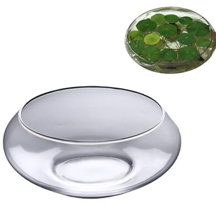 Glas Lotusblumenschale für Hydrokultur & Lotusblume Samen– 9,8 Zoll Bonsaischale Lotusblume, mit Klarem Design für Sukkulenten, Fische & Zimmerpflanzen (Innen/Außen) (L)