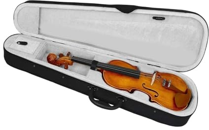 Violine Eine 4/4-Geige Aus Naturholz Für Anfänger Mit Koffer.