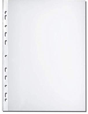 Herlitz® Dokumentenhülle A4 Teca DIN | 100 Stück | Schutzhaube für Ordner und Mappen | Von oben aufklappbar | Glatte Struktur | Archivierung Aktenordner | PP-Folie