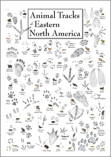 Earth Sky + Water - Animal Tracks of Eastern North America - Poster