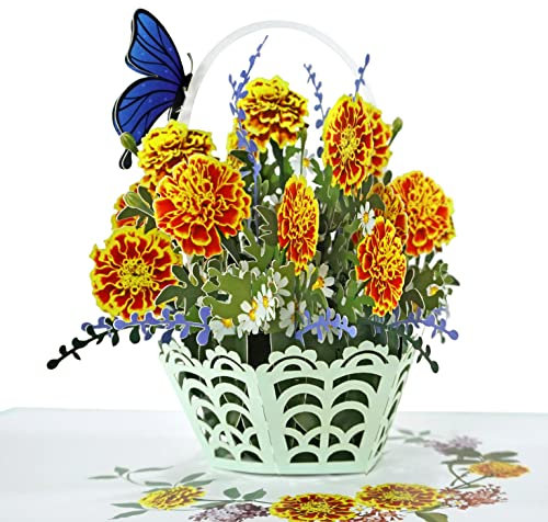 CUTPOPUP Marigold - Geburtstagskarten für Frauen, Muttertagskarte, Pop-Up-Geburtstagskarte, Geburtstagskarte Frau, 3D-Gruß an Ihre Mutter, Frau, Tochter, Schwester (Ringelblume), US8-40DE1515