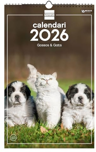 Finocam Wandkalender 2026, 25 x 40 cm, Monatsansicht Januar - Dezember 2026 + Sep. - Dezember 2025 (4 Monate), Kalender 2026, Bilder Hunde und Katzen - Katalanisch