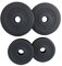 GORILLA SPORTS® Olympia Hantelscheiben - 1,25-30kg Gewichte, Einzeln/Set, 50/51 mm Bohrung, Kunststoff - Hantelscheiben-Set, Hanteln, Gewichtsscheiben