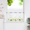 HeichkelL Voile Scheibengardine Bistrogardine mit Weihnachtsbaum und Schneeflocken Weihnachten Kurzstores Transparente Gardine Stangenlöcher Grün HxB 45x120 cm
