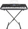 Max KB1 Electric Keyboard with Stand - 61-Key Portable Music Keyboard Kit, LCD Display, Adjustable Folding Stand, 255 Timbres & Rhythms, Built-In Speakers & Recording, Ideal for Learners