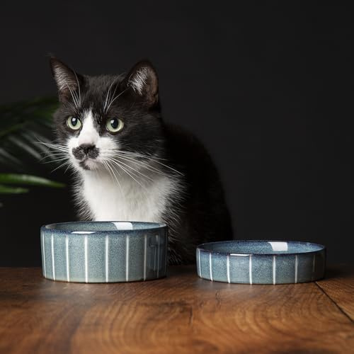 Scruffs Ceramic Heavy Duty Reactive Glaze Cat Bowls - 2pc Set - Grey Pinstripe