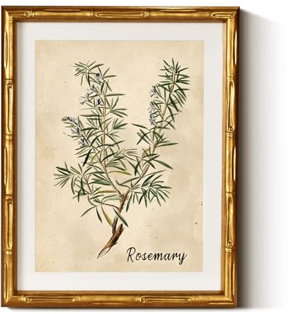 InSimSea Leinwandbild, gerahmt, Retro-Kräuter, Rosmarin, botanische Gemälde, antiker Vintage-Bilderrahmen mit Matte, viktorianische Wanddekoration für Wohnzimmer, Küche, Esszimmer, 27,9 x 35,6 cm
