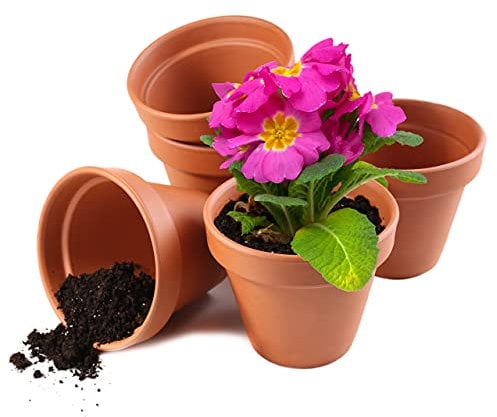 Garden Mania - 12 mini vasi da fiori in terracotta in ceramica con foro di scarico, 8 cm