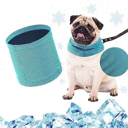 Dog Instant Cooling Bandana, Breathable Soft Dog Ice Neck Scarf, Summer Cooling Collar for Dogs, Puppy, Pet (Lake Blue, Medium)