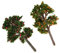 Paowsietiviity 1/12 casa de muñecas miniatura manzano árbol naranja para decoración de jardín Accs
