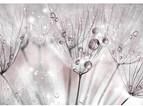 Runa Art Fototapete Blumen Pusteblume Modern Vlies Wohnzimmer Schlafzimmer - Made in Germany - 308 x 220 cm Rosa Grau 9436010a