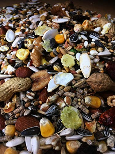 25 kg Premium Eichhörnchen Super - Food Eichhörnchenfutter der Spitzenklasse Streufutter Futter Futterhaus