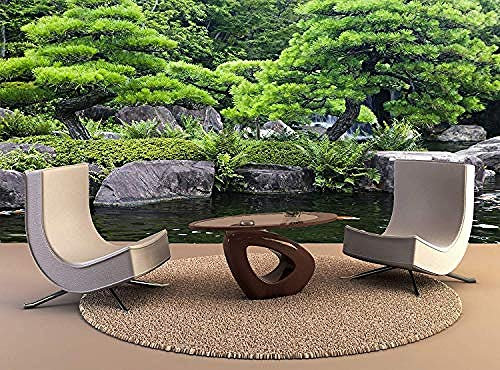 Wanddruck Poster Japan Himeji Himeji Koko En Gärten Teich Koi Karpfen Wandkunst Dekor Foto Tapete Poster Druck Wanddekoration fototapete 3d Tapete effekt Vlies wandbild Schlafzimmer-250cm×170cm