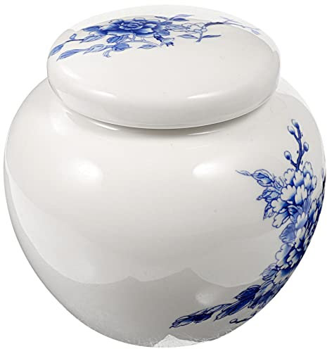 FOMIYES Teedose Keramik Blau-Weiß Porzellan Teedose Vintage Chinesisch Lose Teedosen Dosen Traditionelle Teedose Mit Luftdichtem Deckel Für Kaffeebohnen B